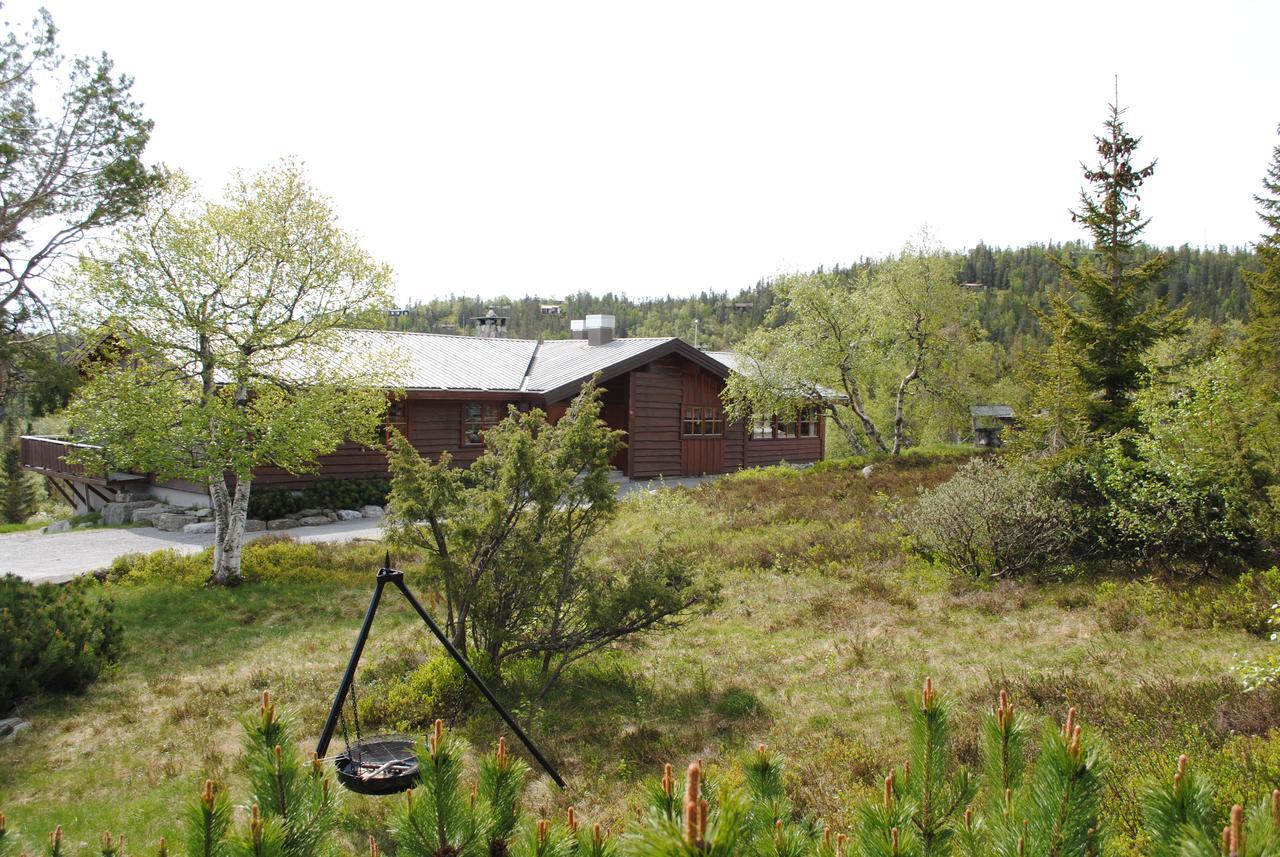 Hotel Solstua Lifjell Exteriér fotografie